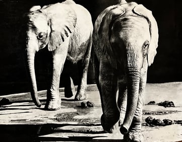 Large format photograph