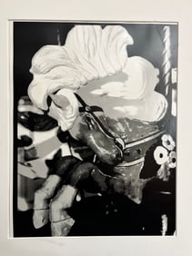 Art photograph titled white horse sign them back unknown photographer