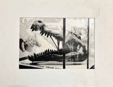 Art photograph titled a giant crocodile from Texas photographer unknown 1980s