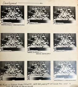 A group of women modeling in different positions on nine snapshots on one board