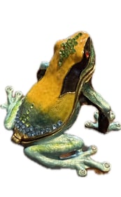 Tim Cotterill Frog Sculpture/jewelry Box
