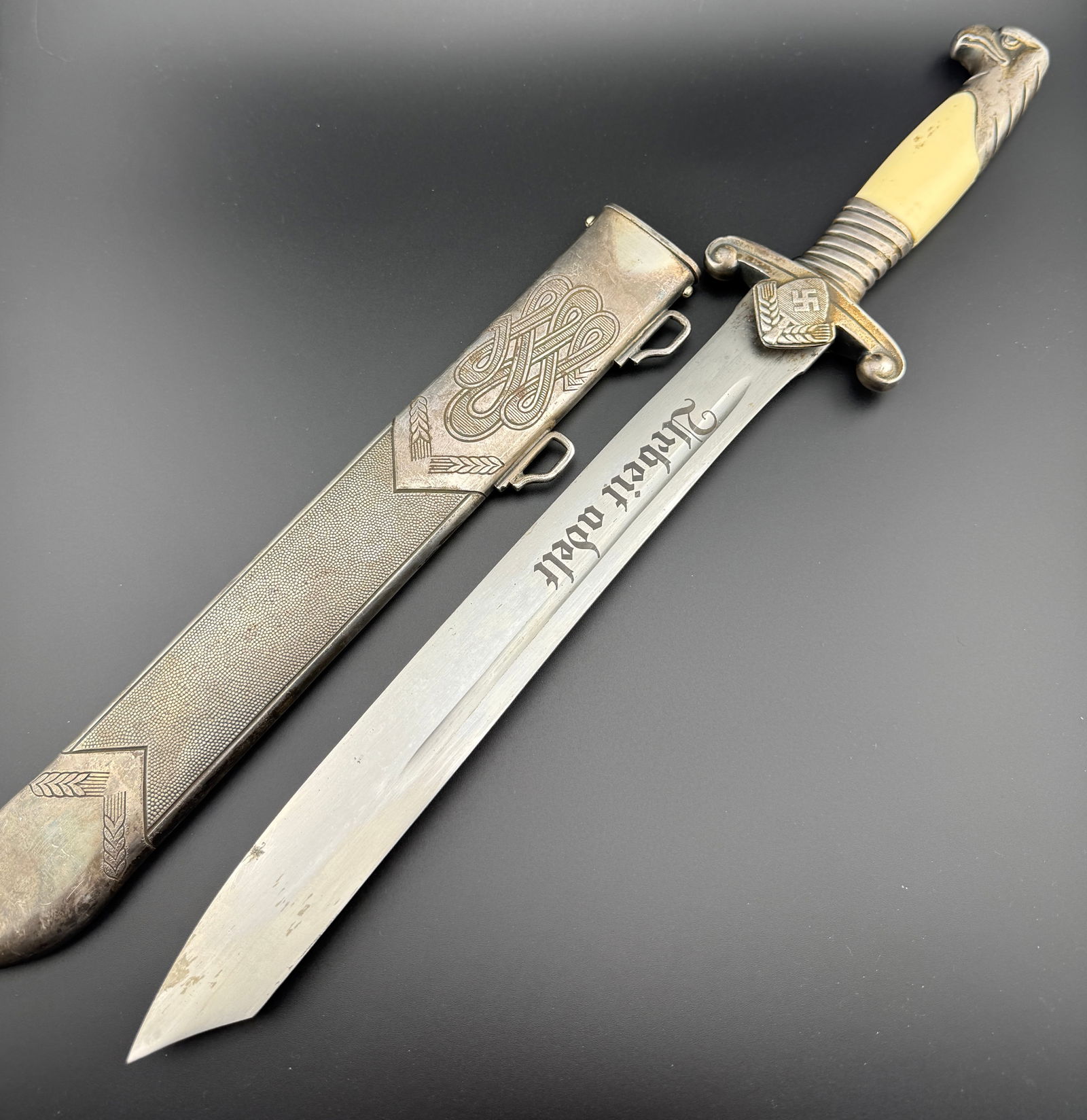 RAD Officer’s Dagger (Heeresarbeitsdienst Führerdolch) – Ch. Plümacher Sohn, Solingen (1 of 10)