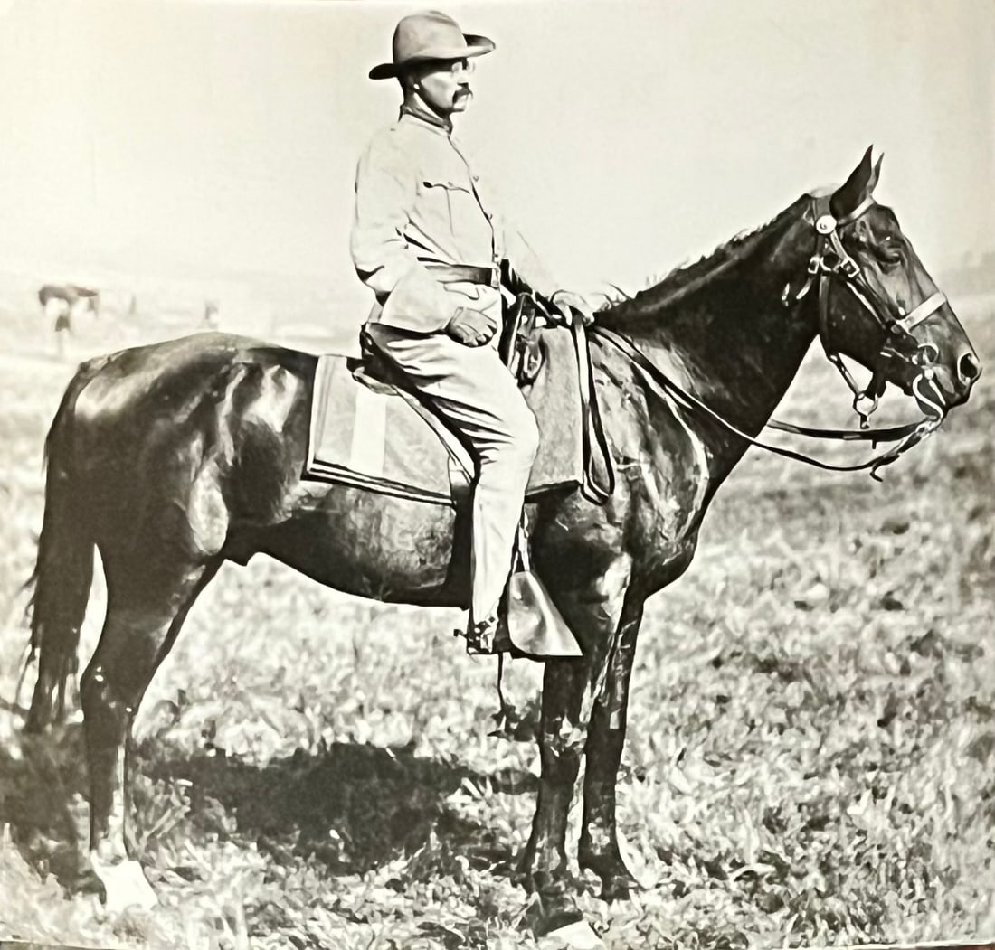 Theodore Roosevelt, rough Rider original photograph (1 of 12)