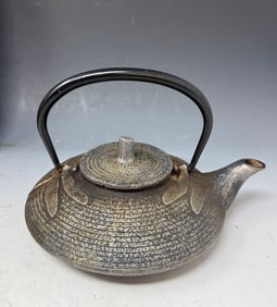 An antique and authentic Japanese cast iron teapot
