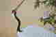 item-93102583=4