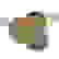 item-105424738=4
