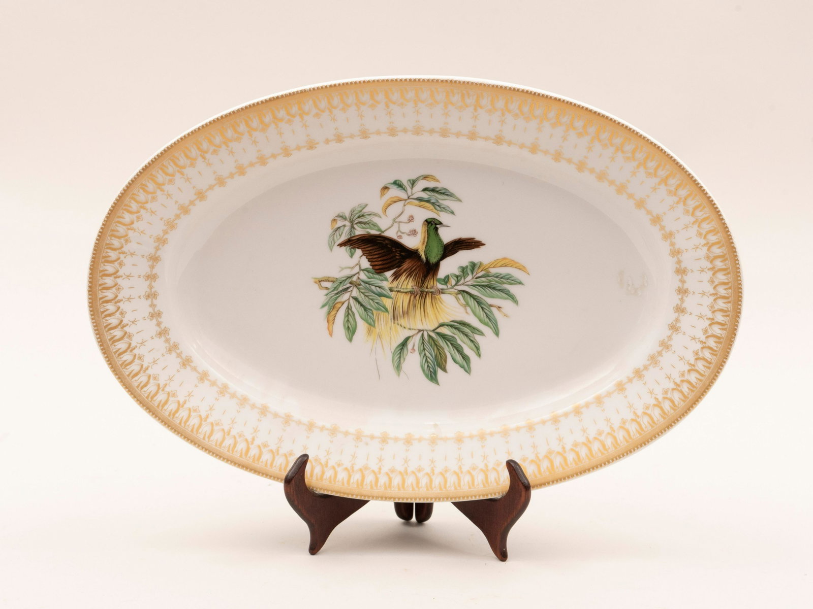 Mottahedeh design Emperor of Germany's Bird of Paradise: Mottahedeh design Emperor of Germany's Bird of Paradise Hand-painted Porcelain Platter Oval platter with gilt decorated rim centering a handsome bird of paradise with outstretched wings. 15 1/4 x 10 i