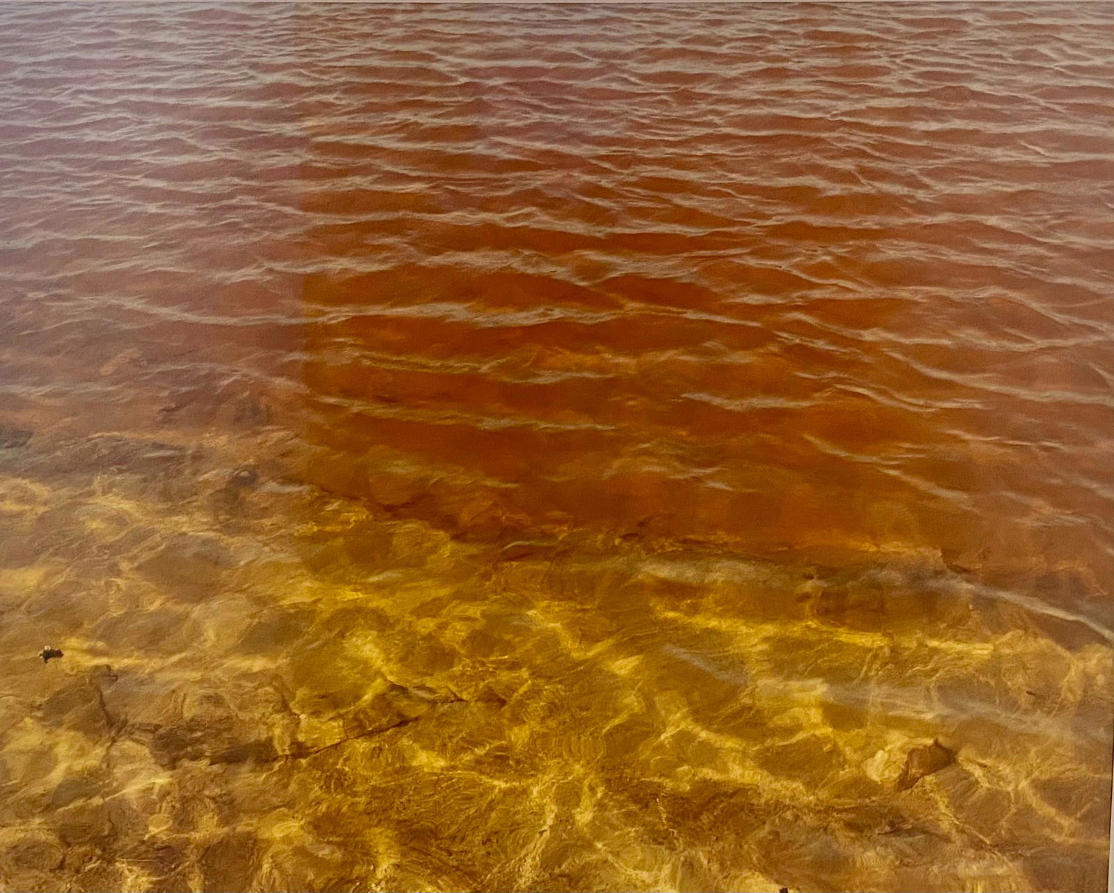 Edouardo Del Valle & Mirta Gomez , American/Cuban (1 of 1)