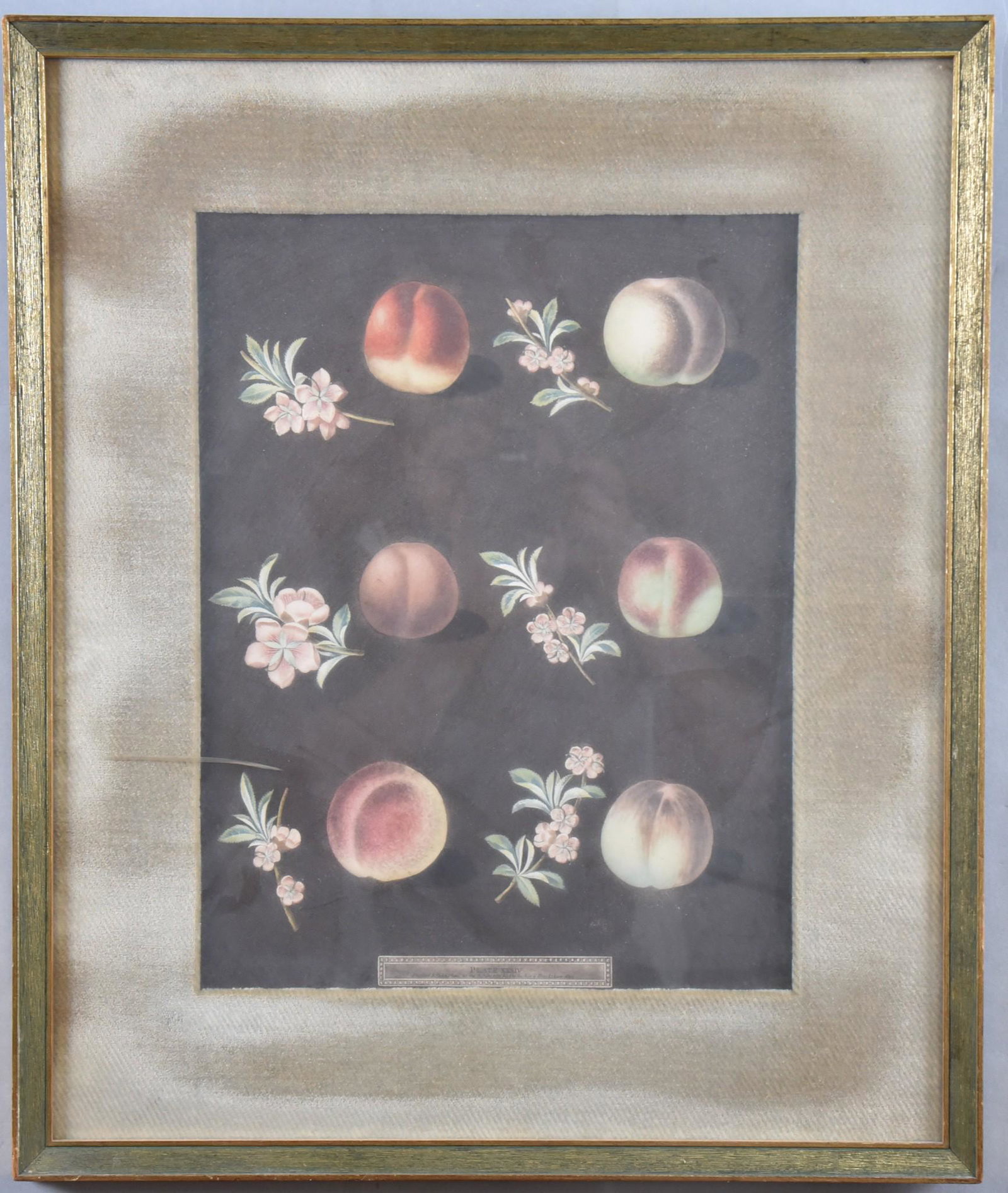 George Brookshaw, British (1851-1923), Peaches and: George BrookshawBritish, (1851-1923)Peaches and Nectarinestwo etchings with aquatinteach gilt-framed.15 x 11 1/2 inches (sight)