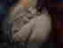 item-116782430=3