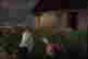 item-116782438=3