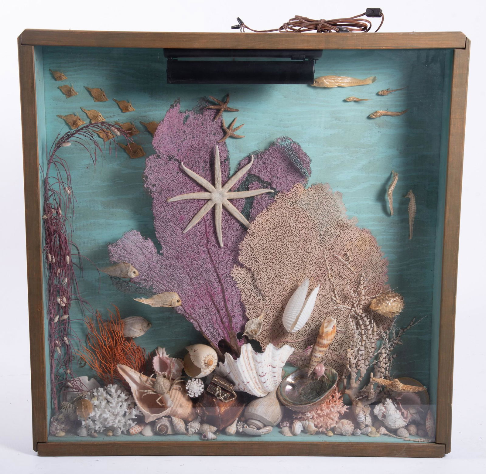 Vintage Coral and Star Fish Specimen Diorama (1 of 4)