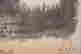 item-123616277=3