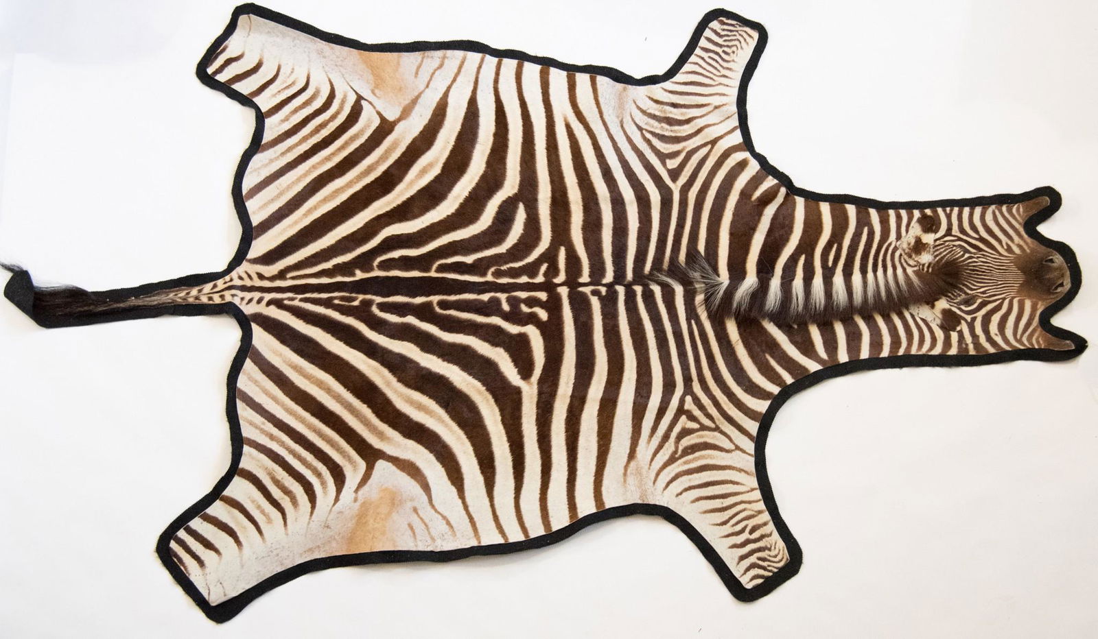 A Felt Lined Full Body Zebra Rug (1 of 1)
