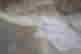 item-130143099=5