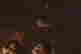 item-132314496=5