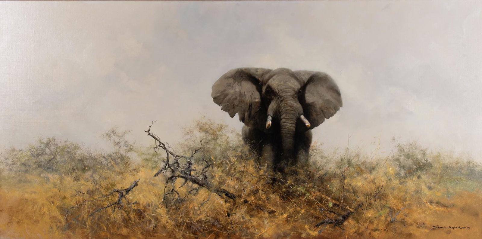 David (Richard David) Shepherd, England / Africa (1931-2017), Etosha Tusker, 1973, oil on canvas (1 of 8)