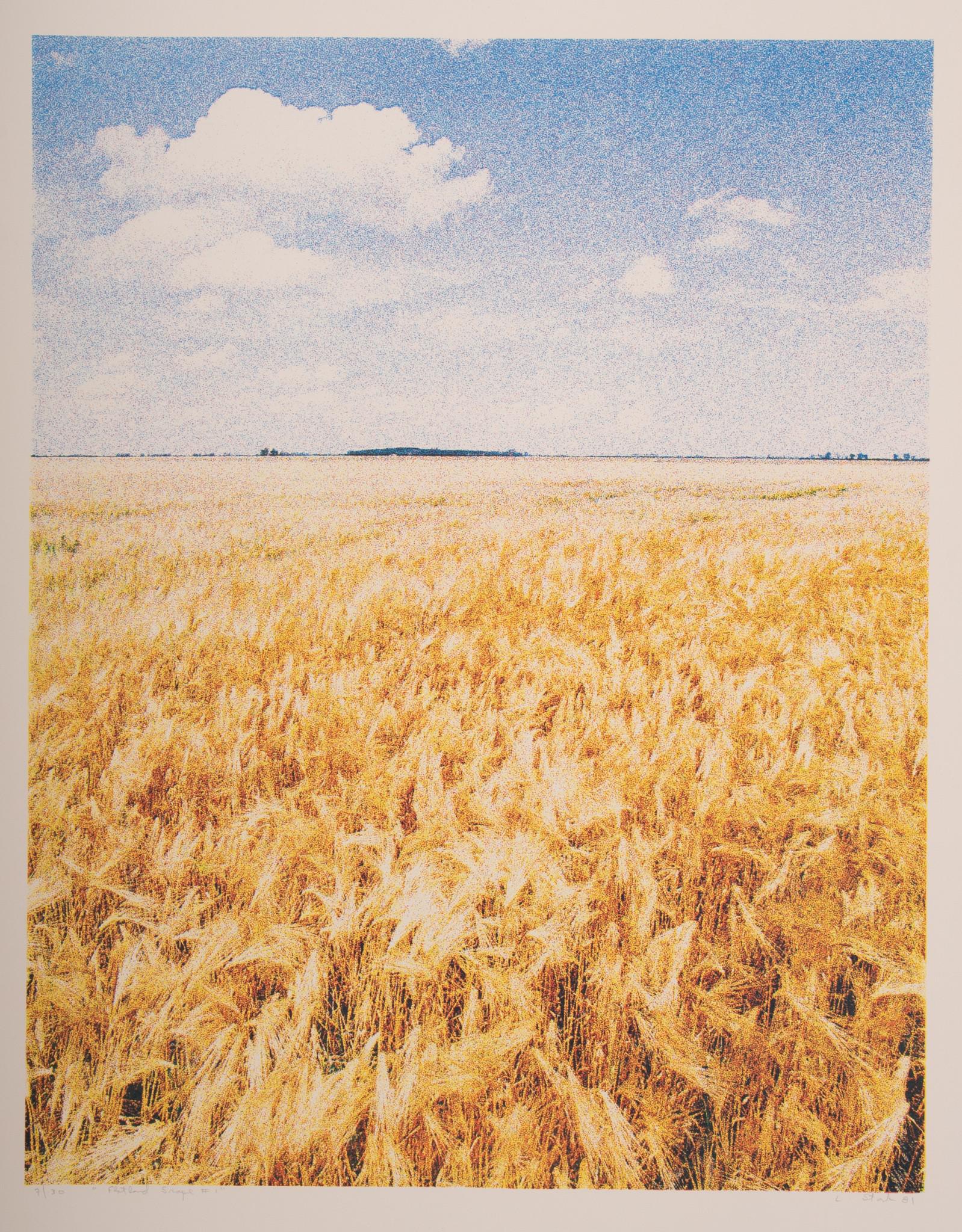 Larry Stark, American (b. 1941), Flatland Scape #1, 1981, photo screenprint, ed. 7/30 (1 of 5)