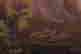 item-137009171=3