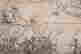 item-137009326=3
