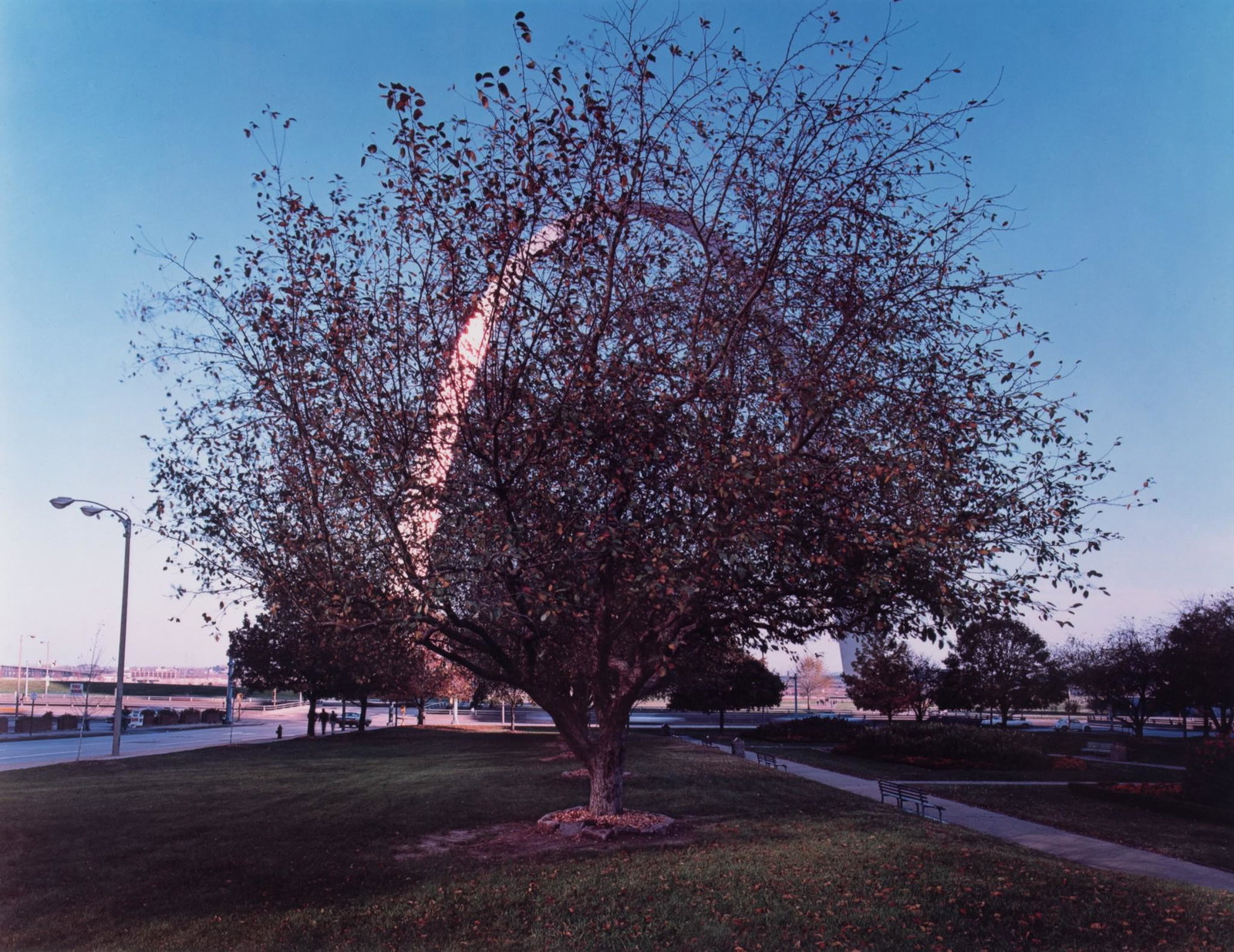 Joel Meyerowitz, American (1938 -), St. Louis Arch Series: Frontal View with Tree, color photograph: Joel MeyerowitzAmerican, (1938 - )St. Louis Arch Series: Frontal View with Treecolor photographframed14 x 18 inches