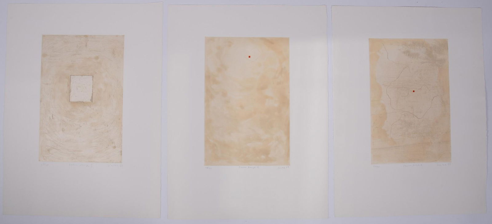 Jose Maria Sicilia, Spanish (b. 1954), Fleur Rouge I, II and III, 1988, aquatint/chine colle, (1 of 4)