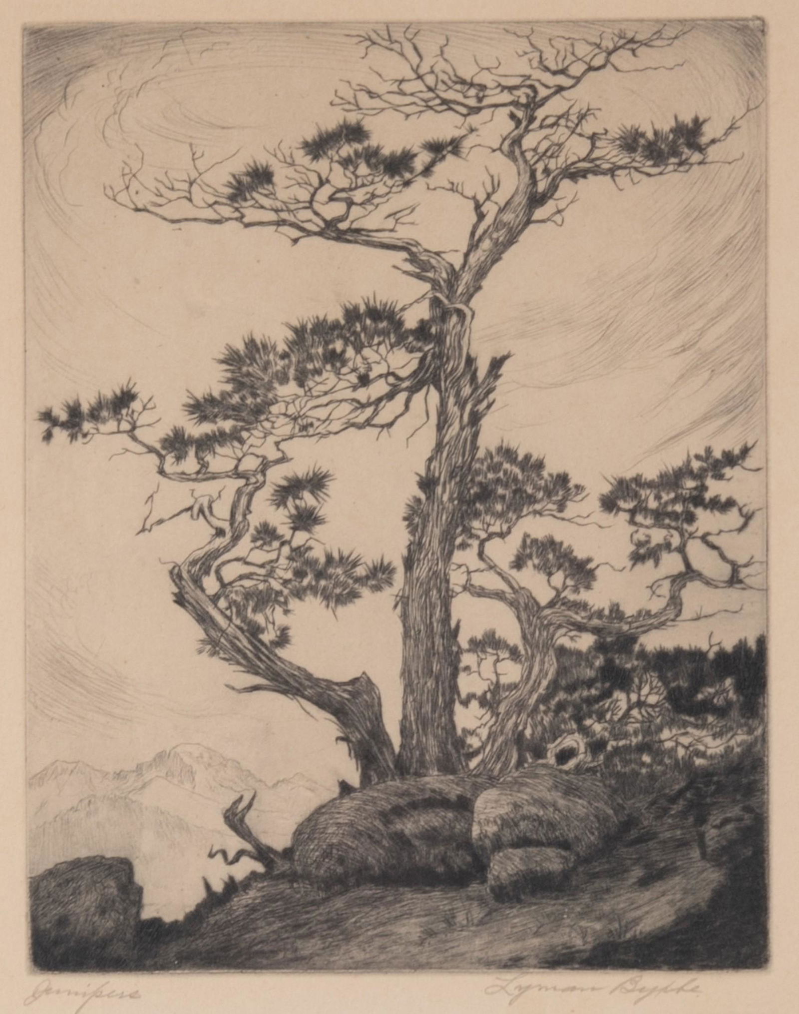Lyman Byxbe, American (1886-1980), Junipers, etching with drypoint (1 of 3)