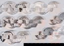 12 Mixed Silver Rounds