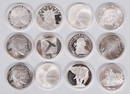 12 Mixed Silver Rounds