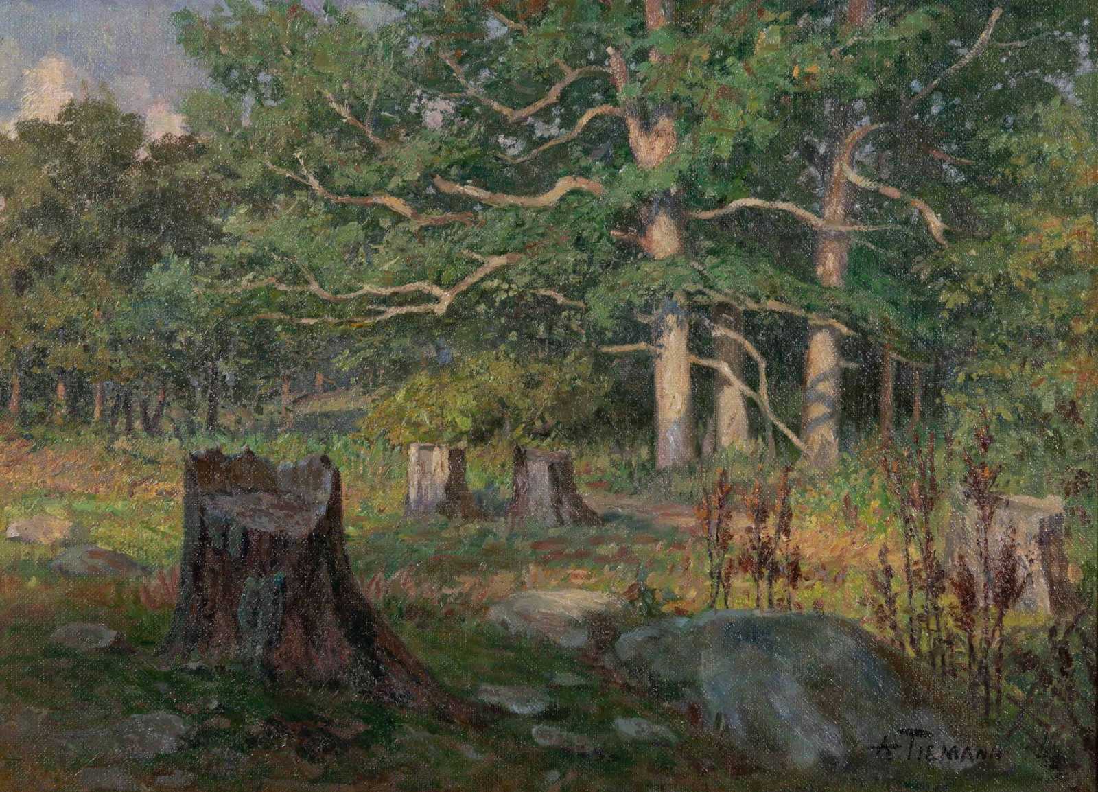 Albert Otto Tiemann, Wisconsin (1868-1948), Trail Stump, oil on canvas: Albert Otto Tiemann Wisconsin, (1868-1948) Trail Stump oil on canvas signed lower right, framed. 16 x 22 inches
