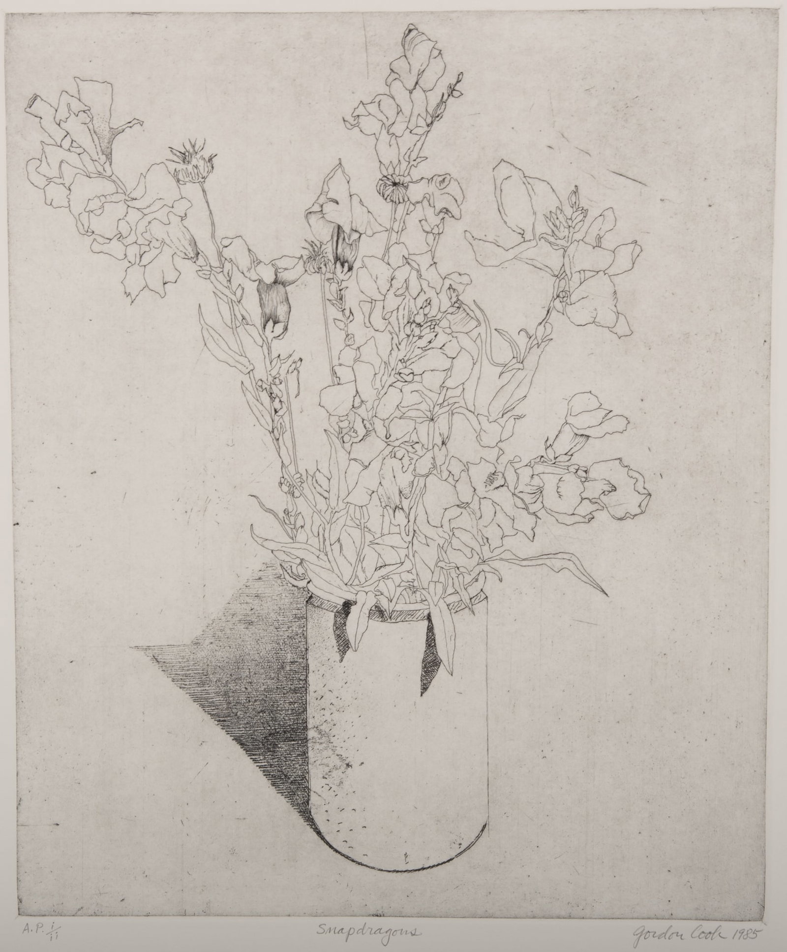Gordon Cook, American (1927-1985), Snapdragons, 1985, etching, edition A.P. i/ii (1 of 4)