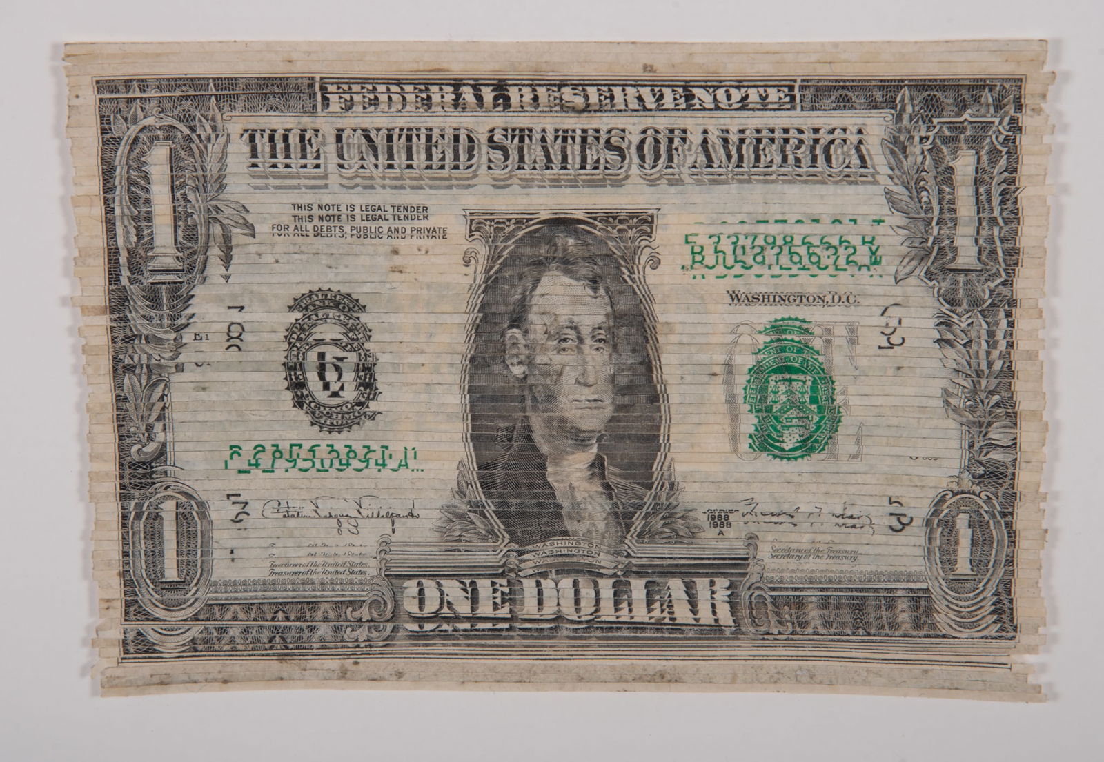 Curtis Readel, Iowa , Napoleon, 2014, shredded U.S. currency (1 of 2)