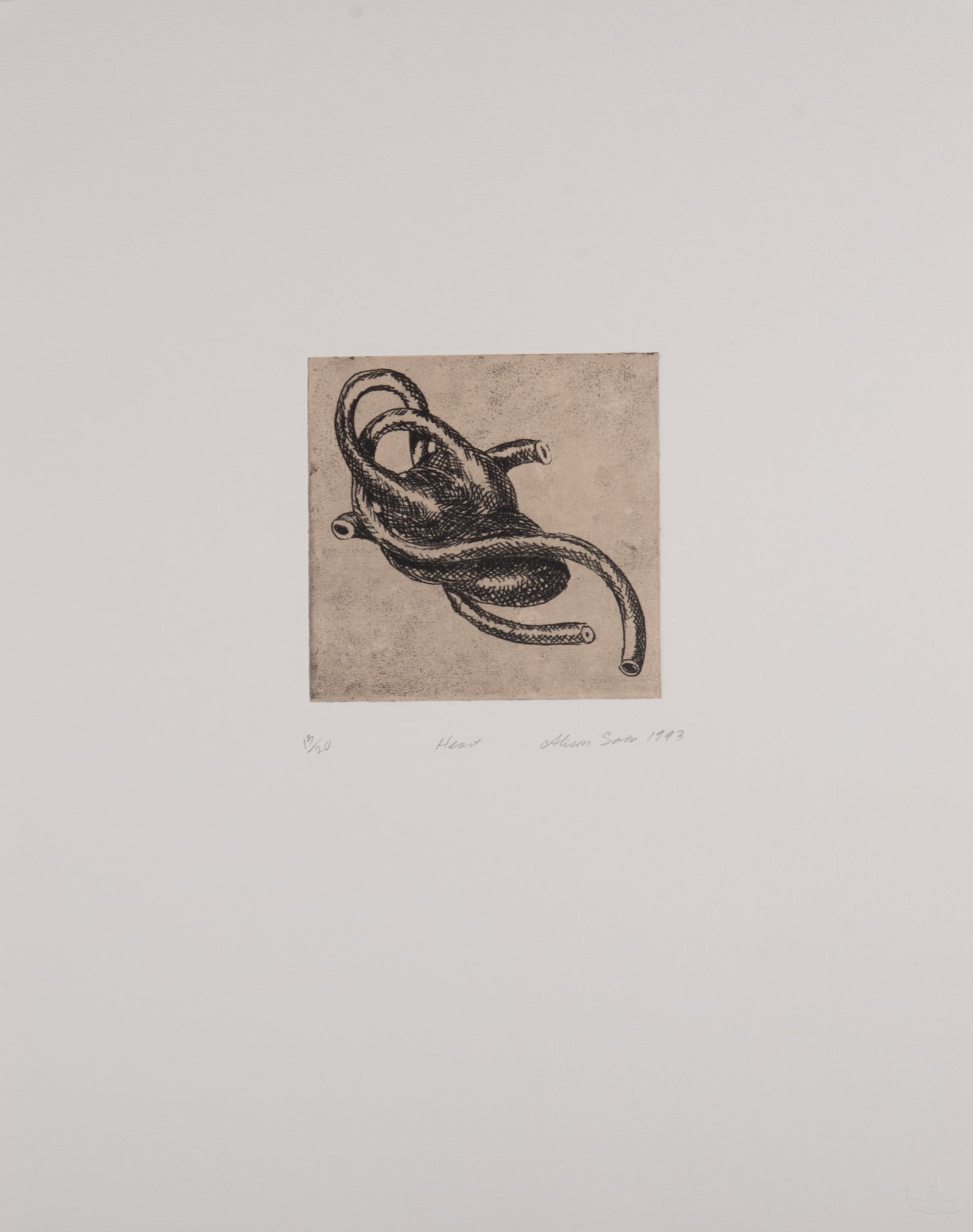 Alison Saar, American (b. 1956), Heart, 1993, etching, ed. 13/20 (1 of 4)
