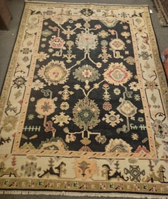 Handwoven Serapi Room Rug