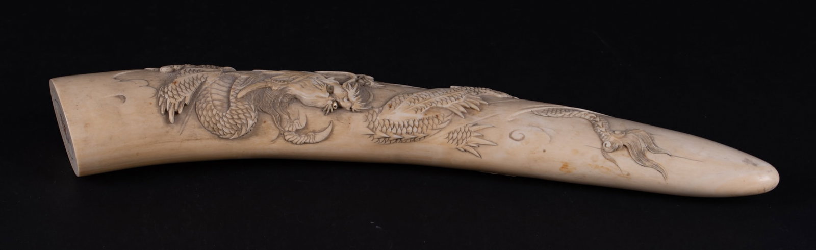 A Japanese Carved Bone Sculpture of a Dragon: A Japanese Carved Bone Sculpture of a Dragon Japan, Meiji period, a tusk form sculpture, the front finely carved with a fierce three-toe dragon having inlaid mother of pearl eyes. 13 3/4 inches long