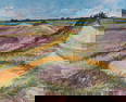 David Loren Bass, New Mexico, North Carolina, Arkansas (b. 1943), Barrier Island - Fall, 1990, oil