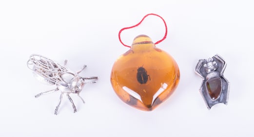 Large Amber Insect Pendant; together with Two Sterling Silver Brooches