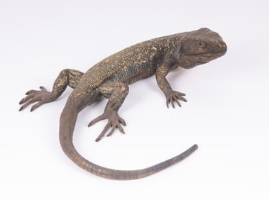A Large Austrian Bronze Spotted Lizard