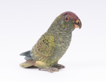 An Austrian Cold Painted Bronze Parrot