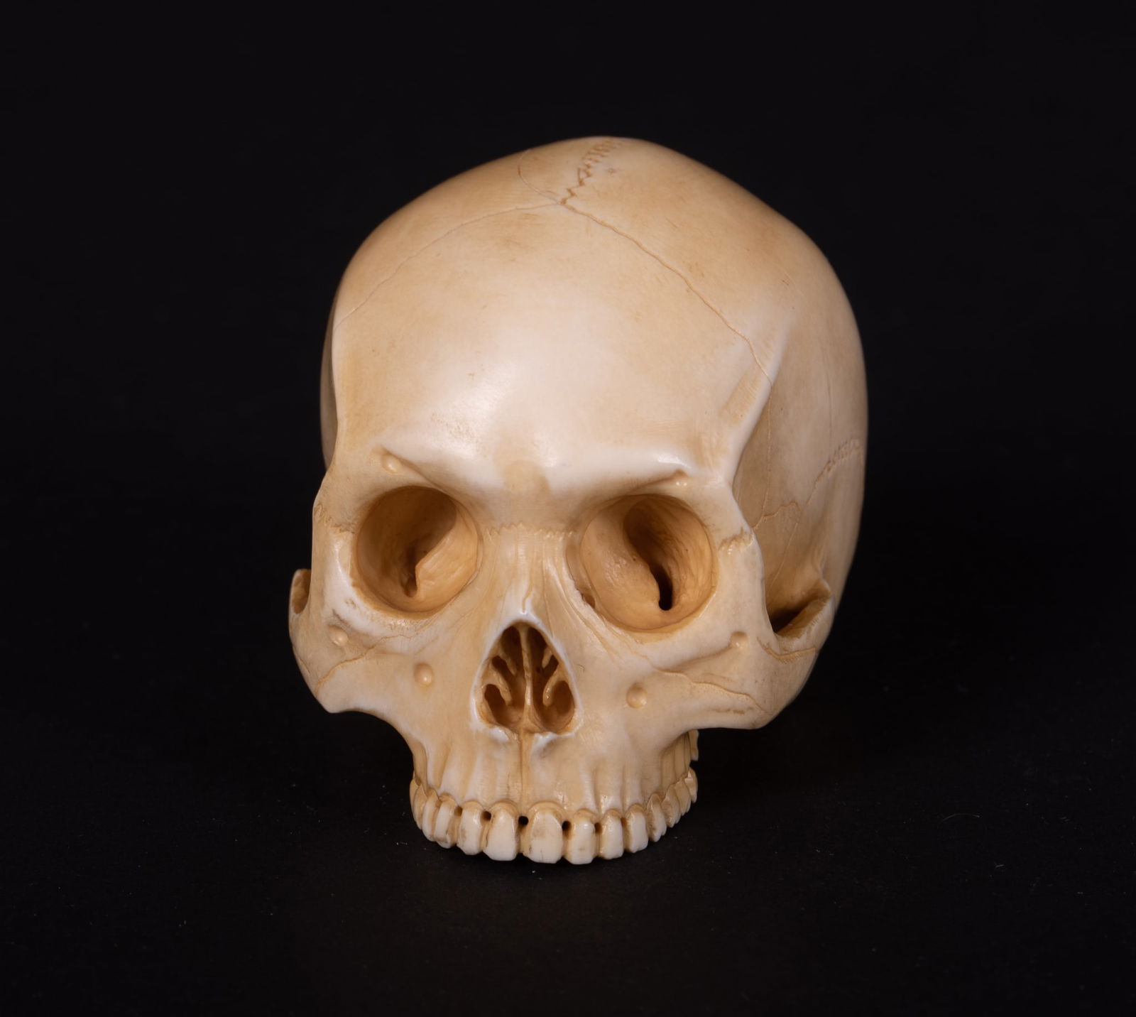 A Japanese Carved Netsuke of a Skull (1 of 5)
