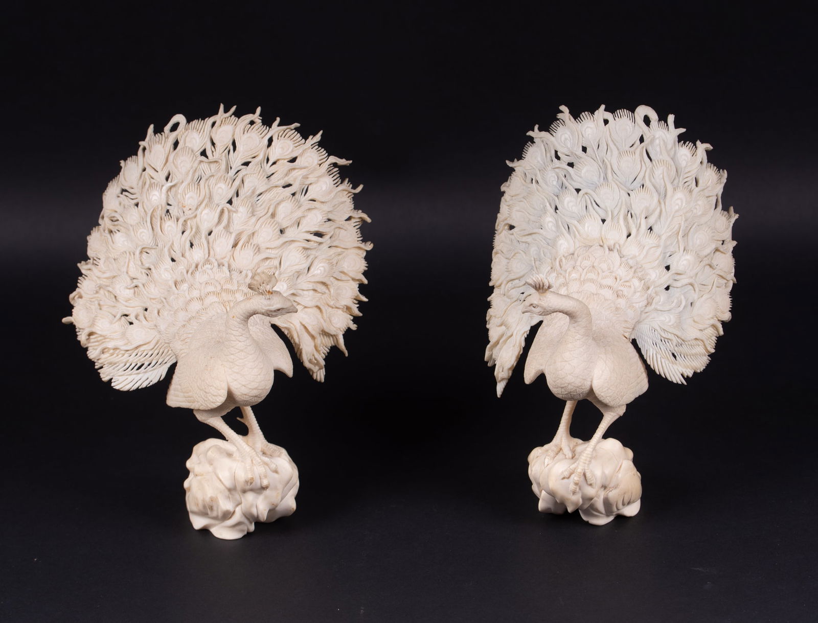 A Pair of Asian Carved Bone Peacocks: A Pair of Asian Carved Bone PeacocksA finely carved pair of peacocks strutting with their tail feathers fanned out.7 inches tall, 4 3/8 inches wide