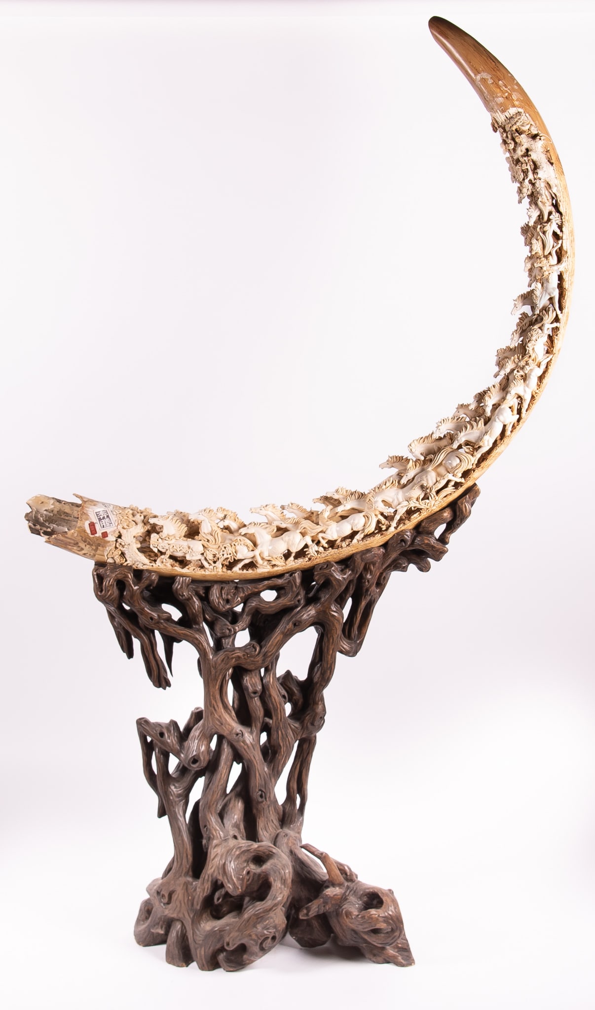 A Massive Chinese Carved Mammoth Tusk: A Massive Chinese Carved Mammoth Tusk Likely Southeast Asia, a fully carved petrified tusk, the length depicting 38 stampeding horses running amidst fir trees and rocky landscape. Red seals and carved