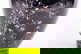 item-205521944=4