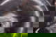 item-208424159=5
