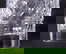item-208424173=3