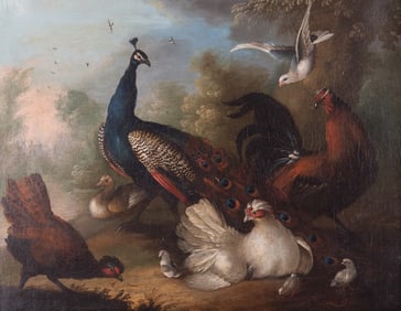 Continental School 19th Century, Peacock and other Birds in a Landscape Setting, oil on canvas
