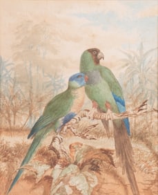 Artist Unknown, Early 20th Century, Two Parrots on a Branch, watercolor
