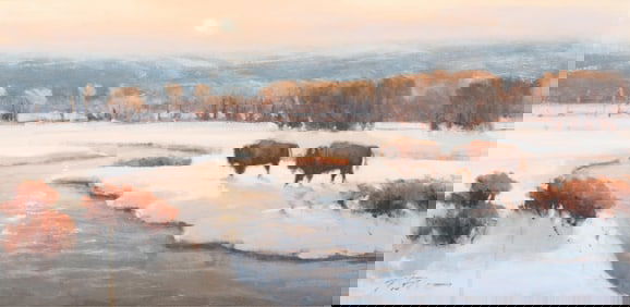 Perry Brown, 20th Century, Radiant, oil on panel