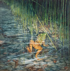 Max Standley, (1942-2013), Bullfrog, oil on panel