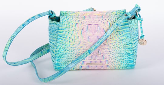 Brahmin Hillary Cotton Candy Ombre Melbourne Crossbody & CC Wallet
